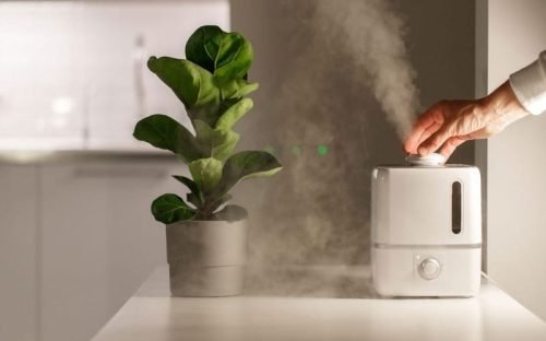 Humidifier-1